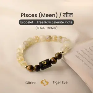 Rudraksha 04